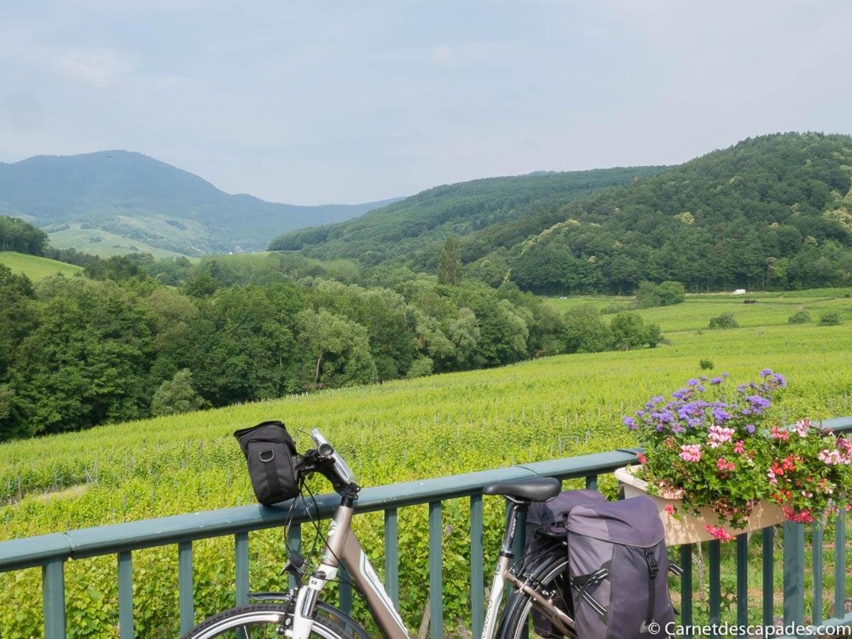Вілла Coeur D'Alsace Colmar Vignobles Ouest Avec Terrasses Венценайм Екстер'єр фото
