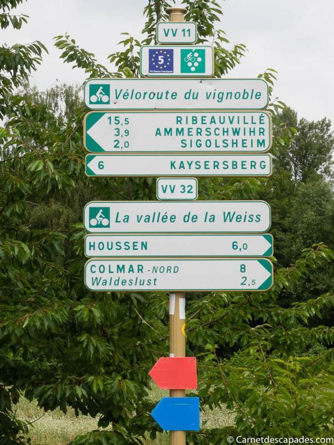 Вілла Coeur D'Alsace Colmar Vignobles Ouest Avec Terrasses Венценайм Екстер'єр фото