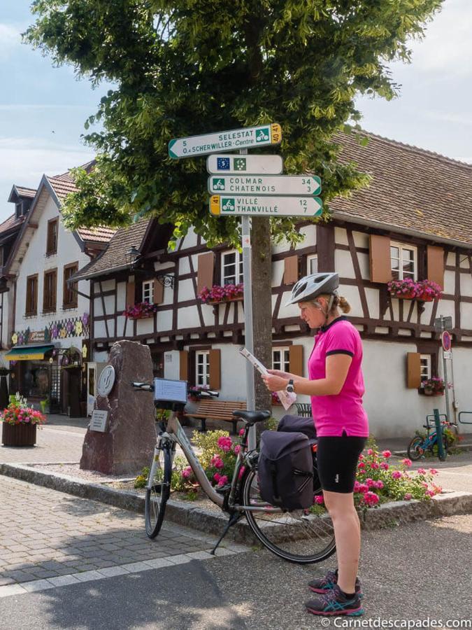 Вілла Coeur D'Alsace Colmar Vignobles Ouest Avec Terrasses Венценайм Екстер'єр фото