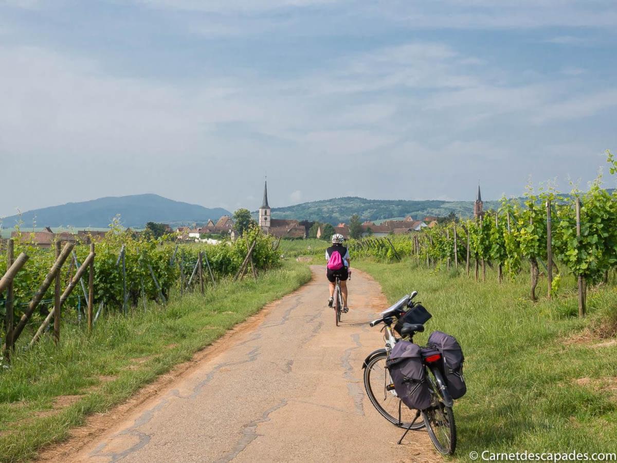Вілла Coeur D'Alsace Colmar Vignobles Ouest Avec Terrasses Венценайм Екстер'єр фото