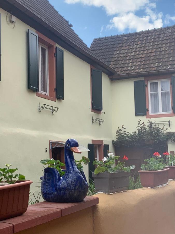 Вілла Coeur D'Alsace Colmar Vignobles Ouest Avec Terrasses Венценайм Екстер'єр фото