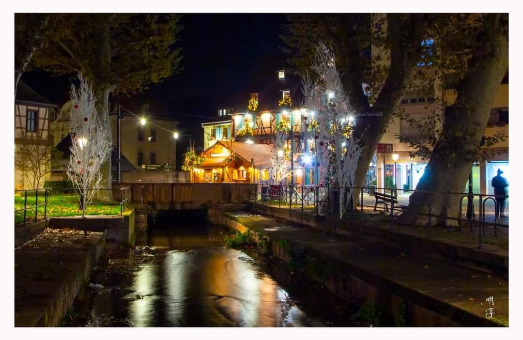 Вілла Coeur D'Alsace Colmar Vignobles Ouest Avec Terrasses Венценайм Екстер'єр фото