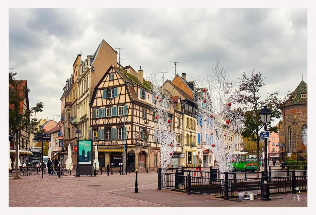 Вілла Coeur D'Alsace Colmar Vignobles Ouest Avec Terrasses Венценайм Екстер'єр фото