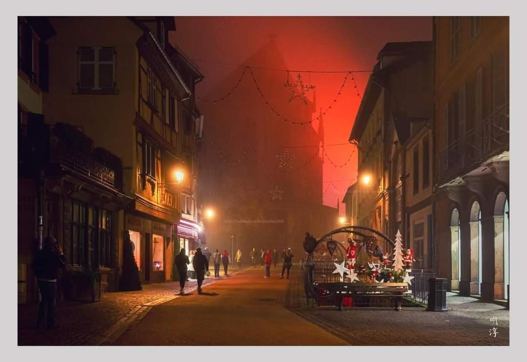 Вілла Coeur D'Alsace Colmar Vignobles Ouest Avec Terrasses Венценайм Екстер'єр фото